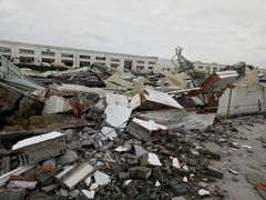 -龙大花卉苗木市场