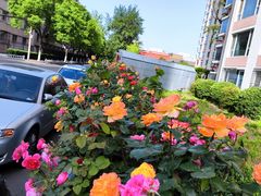 -益民餐厅(交通大学店)
