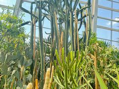 -祥源·阜阳生态乐园