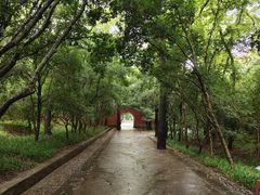 -灵谷景区