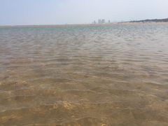 -仙人岛