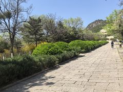 -府君山公园