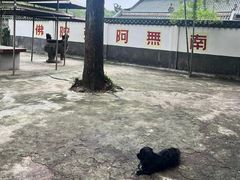 -南华禅寺