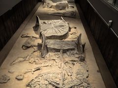 -北京大葆台遗址博物馆