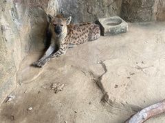 -杭州野生动物世界