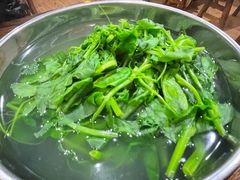 -攀枝花·任德琼·盐边羊肉米线