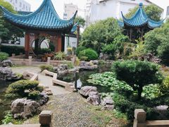 -華僑飯店中餐厅