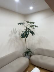 -HEYAN荷妍专业脱毛连锁机构