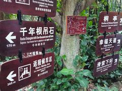-呀诺达热带雨林