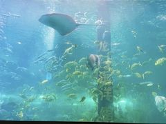 -洛阳龙门海洋馆