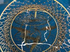 -SHRIMP CLUB万东餐饮钓虾·清吧