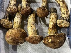 -云南木水花野生菌交易中心