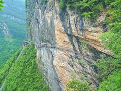 -鹿院坪生态旅游景区
