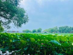 -长春市南湖公园