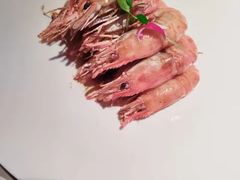 -醉庐·新上海菜(南京西路店)