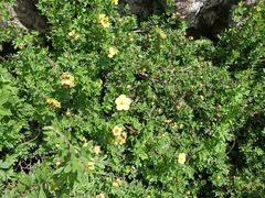 -白草畔自然风景区