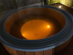 -春晖园度假酒店温泉