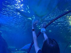 -太平洋海底世界