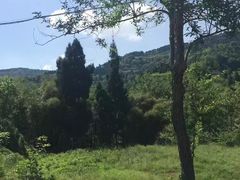 -樱桃山旅游景区