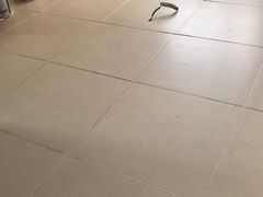 -大树装饰·十年本土家装