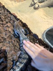 -Zoolung Zoolung动物主题公园(海信广场店)