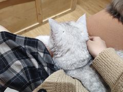 -小时光咖啡馆(开森度假森林店)