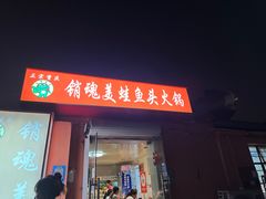 -销魂美蛙鱼头火锅(上海首店)