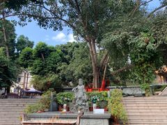 -南宁良凤江国家森林公园