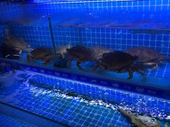 -江南福宴·澳门海鲜.牛肉火锅(汇高栢悦中心店)