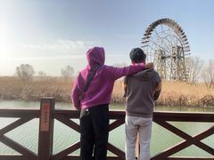 -太湖湖滨国家湿地公园-停车场