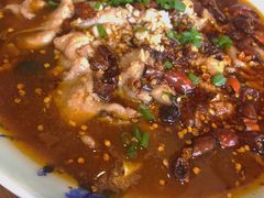 -七菜馆·东北菜·蒸饺(文体路店)