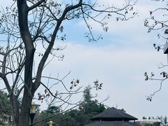 -国际非物质文化遗产博览园