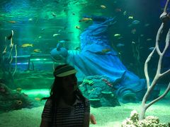 -沈阳海洋探索中心