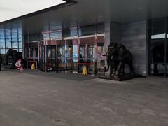 -东北大厦酒店(沈阳北站青年大街店)