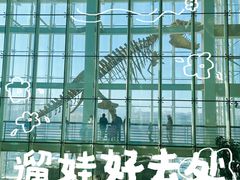 -吉林省自然博物馆