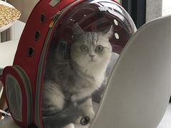 -爱诺耐芙动物医院(万博店)