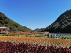 -广州市石门国家森林公园