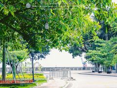 -南沙天后宫景区