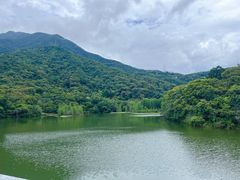 -梧桐山风景名胜区