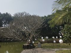 -广州雕塑公园