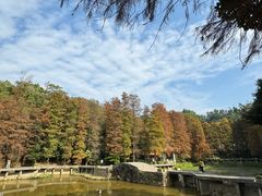 -深圳仙湖植物园