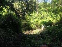 -海口火山口国家地质公园