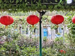 -姥家大锅台水库渔家