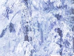 -瓦屋山景区