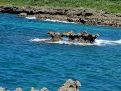 -上野德国文化村