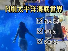 -太平洋海底世界