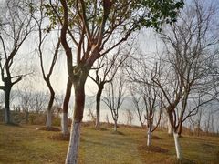 -苏州清山会议中心