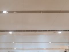 -麦当劳(北京大兴机场二层国内到达(安检外)店)