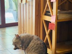 -隅cafe(傅厚岗店)