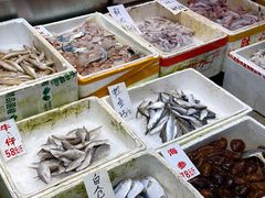 水产区-新享乐海鲜(翠华路店)